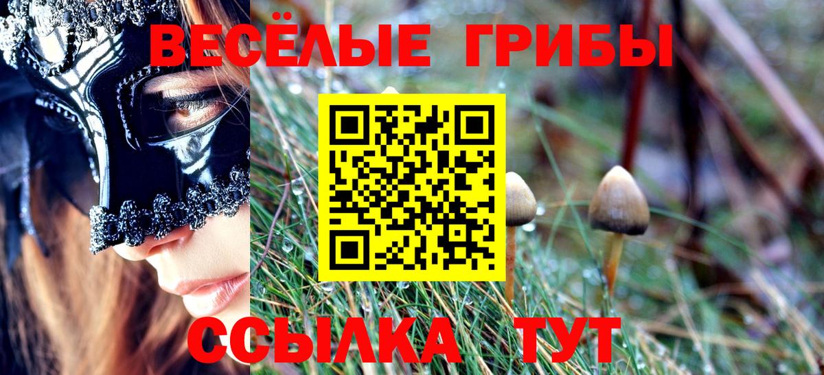 Острогожск  Галлюциногенные грибы мицелий  Вход с VPN 