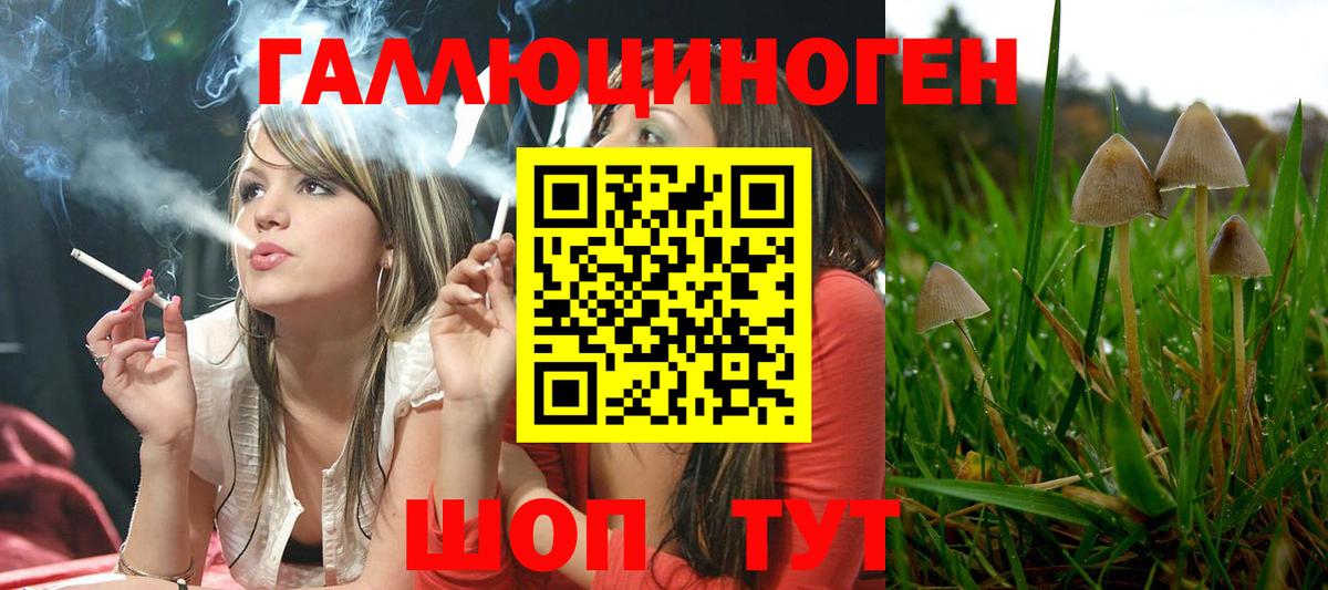 Галлюциногенные грибы ЛСД Острогожск
